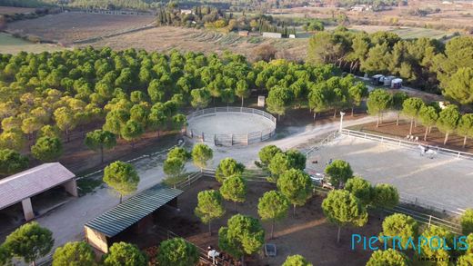 ‏קרקע ב  Montagnac, Hérault