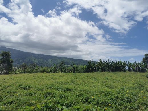 Teren w Taravao, District de Vairao