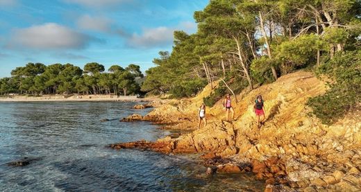 套间/公寓  Bormes-les-Mimosas, Var