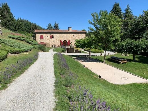 Schloss / Burg in Saint-Apollinaire-de-Rias, Ardèche