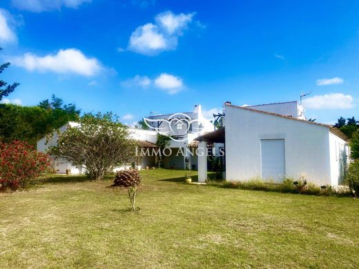 호화 저택 / Saintes-Maries-de-la-Mer, Bouches-du-Rhône