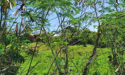 Le Moule, Guadeloupeの土地