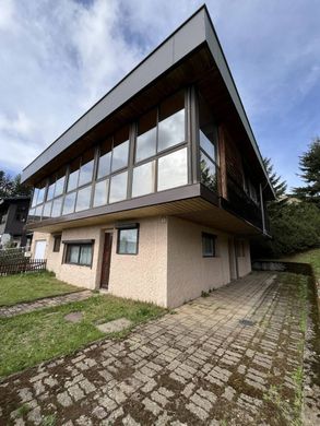 Luxus-Haus in Besse-et-Saint-Anastaise, Puy-de-Dôme