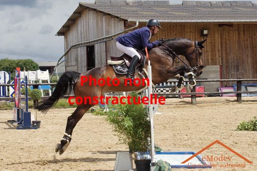 Casa di lusso a Molsheim, Basso Reno