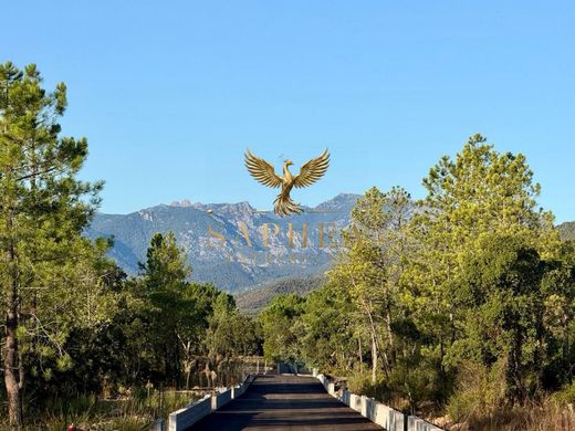 Luxury home in Porto-Vecchio, South Corsica