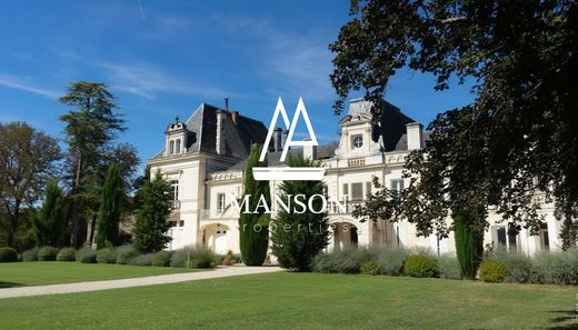 Castle in Cognac, Charente