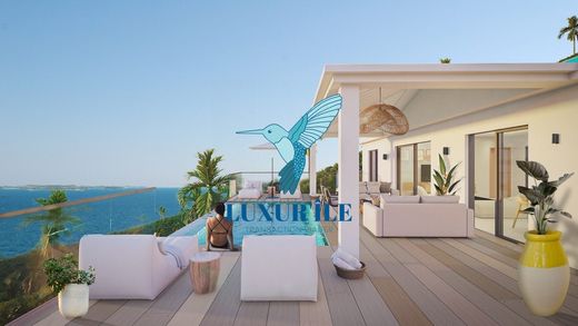 Saint Martinの高級住宅