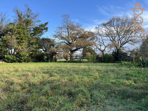 地皮  Vannes, Morbihan