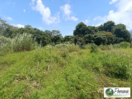 Αγροτεμάχιο σε Taravao, District de Vairao