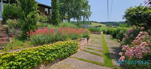 Luxury home in Amplepuis, Rhône