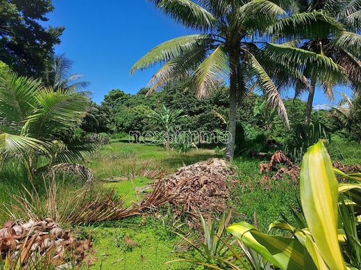토지 / Tohautu, Îles du Vent