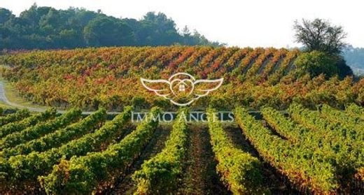 Narbonne, Audeの高級住宅