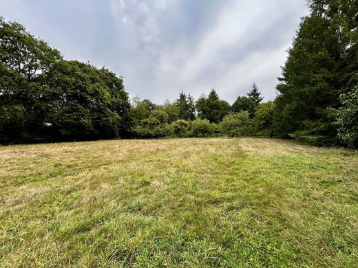 Terreno - Sautron, Loire-Atlantique