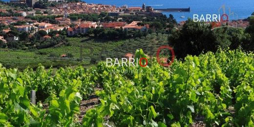 Luxus-Haus in Collioure, Pyrénées-Orientales