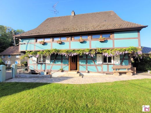 Maison de luxe à Buschwiller, Haut-Rhin