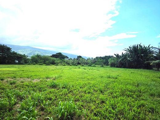 Land in Taravao, District de Vairao