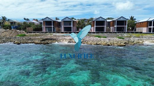 豪宅  Saint Martin