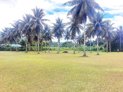 أرض ﻓﻲ Taravao, District de Vairao