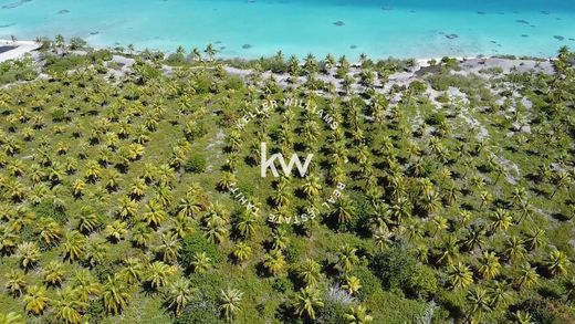 Land in Rautini, Îles Tuamotu-Gambier