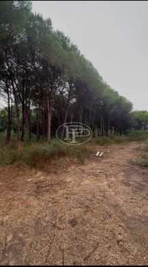 Appartement in Calvi, Upper Corsica