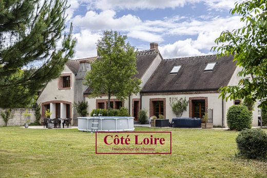 Luksusowy dom w Olivet, Loiret