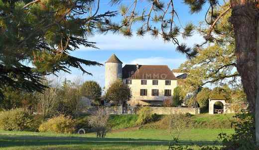 Zamek w Bergerac, Dordogne