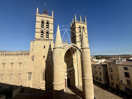 Apartment in Montpellier, Hérault
