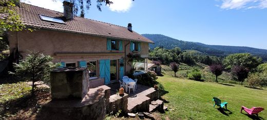 豪宅  Saint-Dié-des-Vosges, Vosges