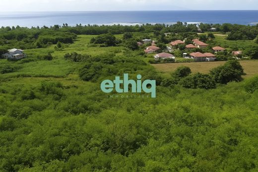 Land in Grand-Bourg, Guadeloupe