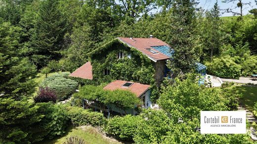 Luxury home in Copponex, Haute-Savoie