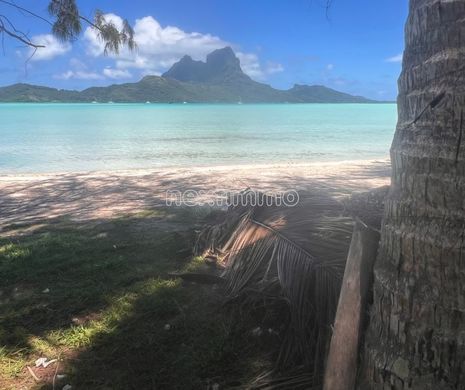 Land in Bora-Bora