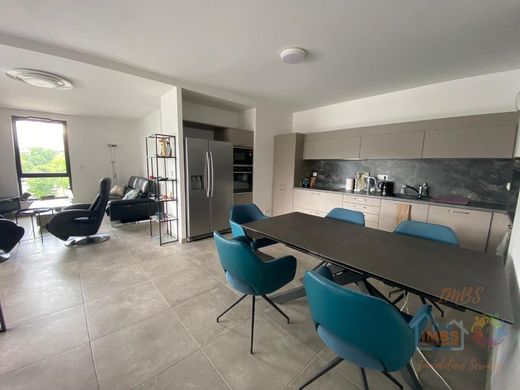 Appartamento a Strasburgo, Basso Reno