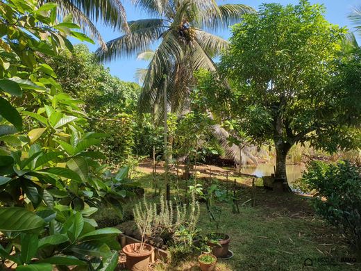 호화 저택 / Tohautu, Îles du Vent