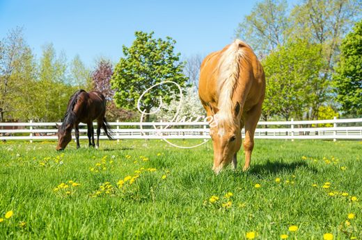 Casa de luxo - Evreux, Eure