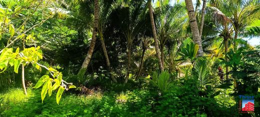 Terreno a Taravao, District de Vairao