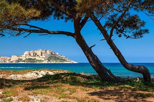 Appartamento a Calvi, Corsica settentrionale