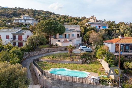 Santa-Maria-di-Lota, Upper Corsicaの高級住宅