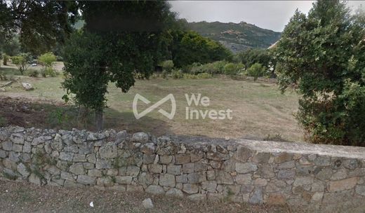 Land in Calvi, Upper Corsica