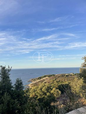 Appartement in Calvi, Upper Corsica