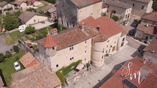 Schloss / Burg in Saint-André-en-Royans, Isère