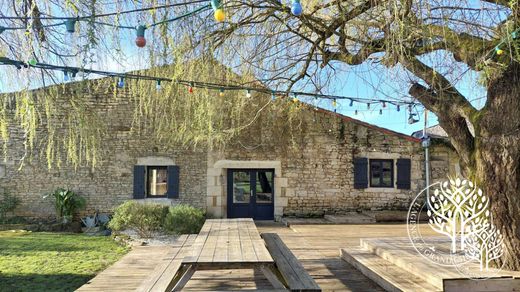 호화 저택 / Saint-Savinien, Charente-Maritime