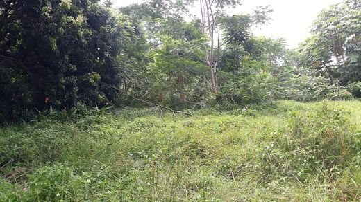 Land in Afaahiti, District de Vairao