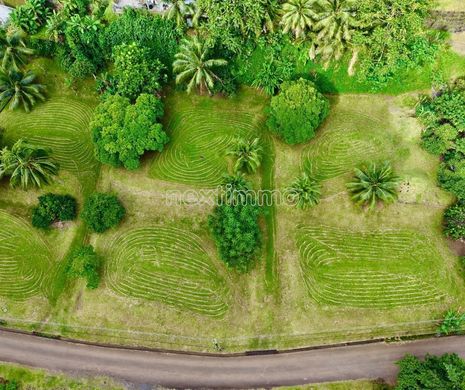 Land in Papenoo
