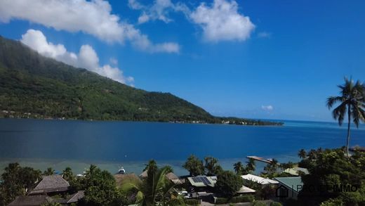 Land in Paopao, Îles du Vent