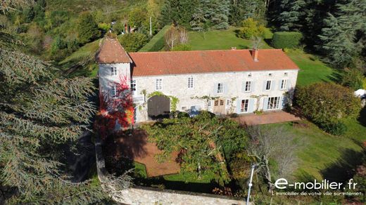 Maison de luxe à Renaison, Loire