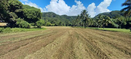 地皮  Hitiaa, District de Vairao