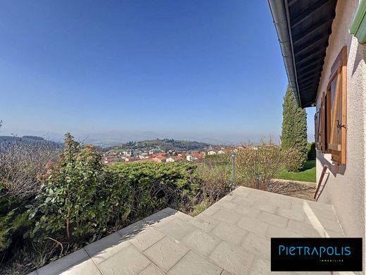 Luxury home in Saint-Pierre-la-Palud, Rhône