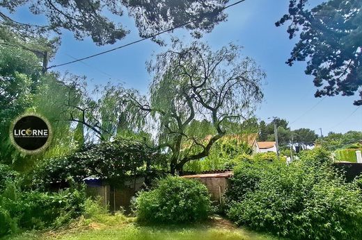 Luxury home in Bandol AOC, Var