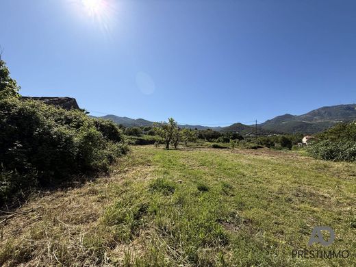 Luxury home in Furiani, Upper Corsica