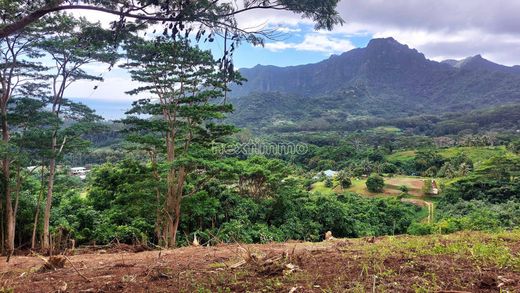 Αγροτεμάχιο σε Paopao, Îles du Vent